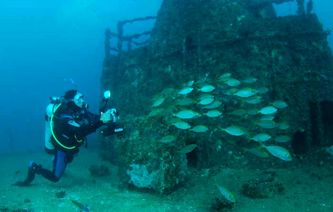 HMAS Brisbane Reef Dive