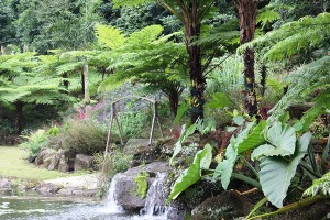 Maleny Aviary and Botanic Gardens