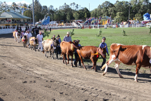 The Sunshine Coast Agricultural Show - Honouring the Centenary