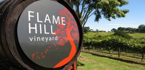 Toe Jam – Flame Hill Grape Stomp