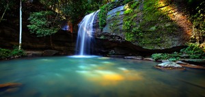 Experience the serenity of Buderim Falls