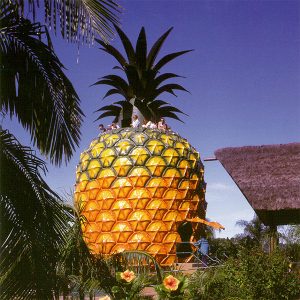 The Big Pineapple Nambour