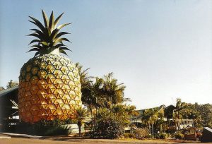 the big pineapple