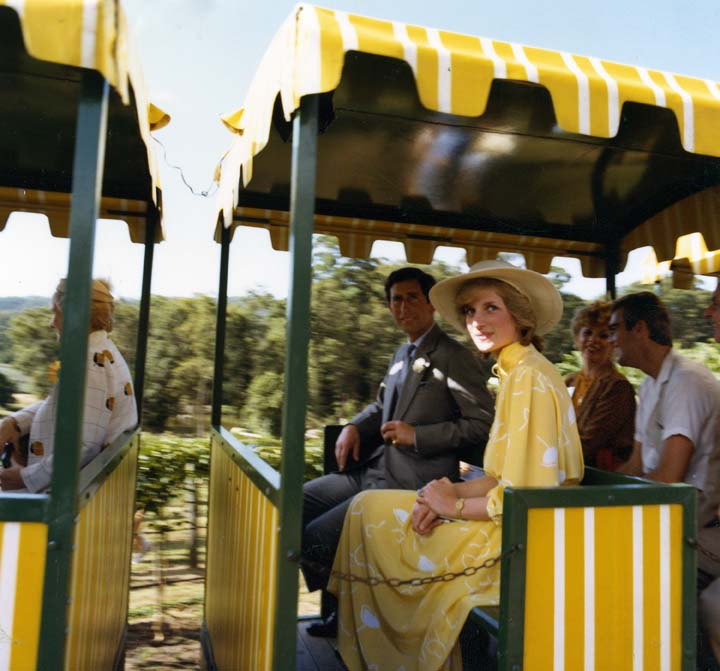 the big pineapple Train - Charles and Diana