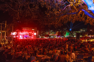 Caloundra Music Festival night time crowds