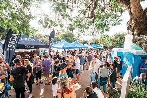 Crowd shot at the Noosa craft beer festival