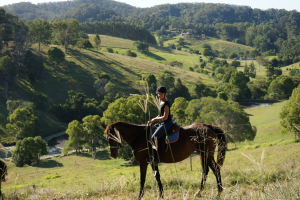 Horse Back Riding Holiday Camps – Kiah Park