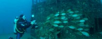 HMAS Brisbane Reef Dive