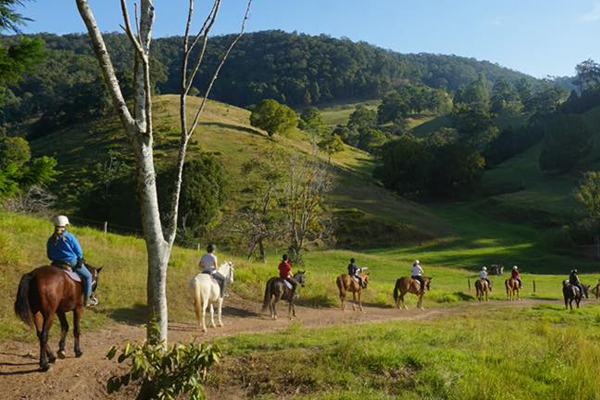 | Horse Back Riding Holiday Camps – Kiah ParkSunshine Coast Lifestyle